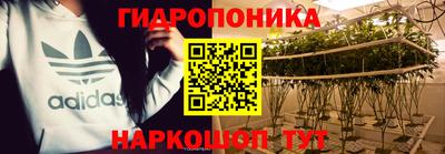 ГАЛЛЮЦИНОГЕННЫЕ ГРИБЫ Лесосибирск