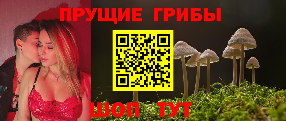 Галлюциногенные грибы GOLDEN TEACHER Тулун