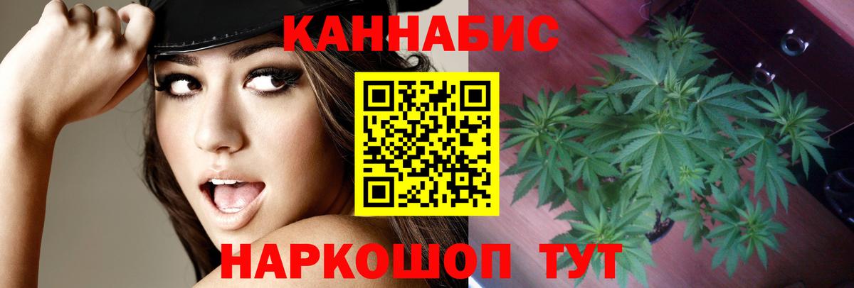 Канабис сатива Тулун